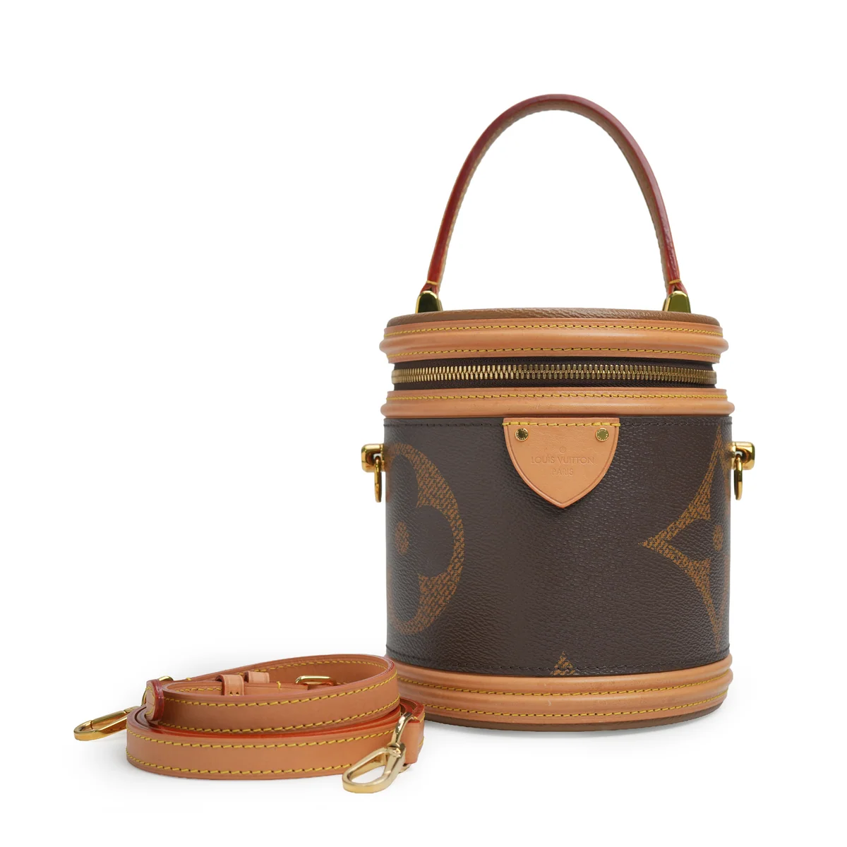 Louis Vuitton Monogram Giant Canvas Cannes Bag — view 3