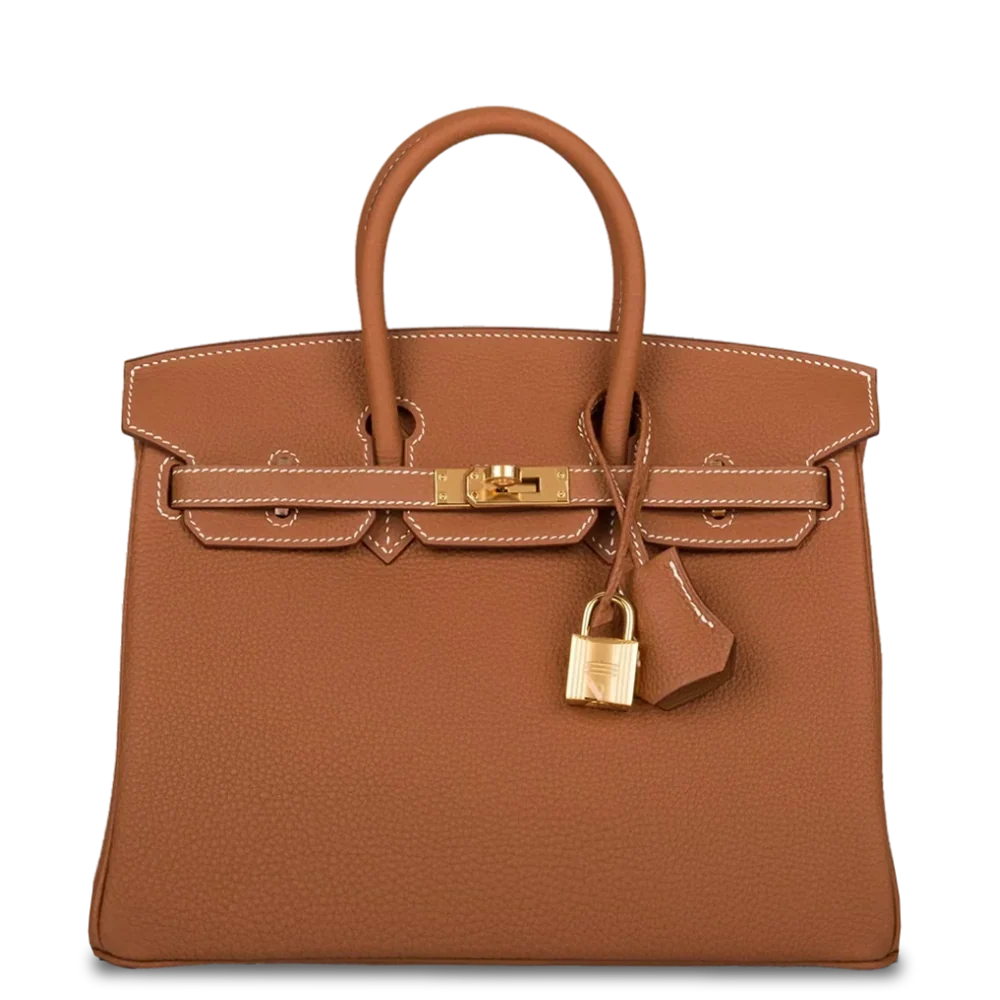 Hermès Birkin 25 Gold Togo Gold Hardware Stamp W 2024