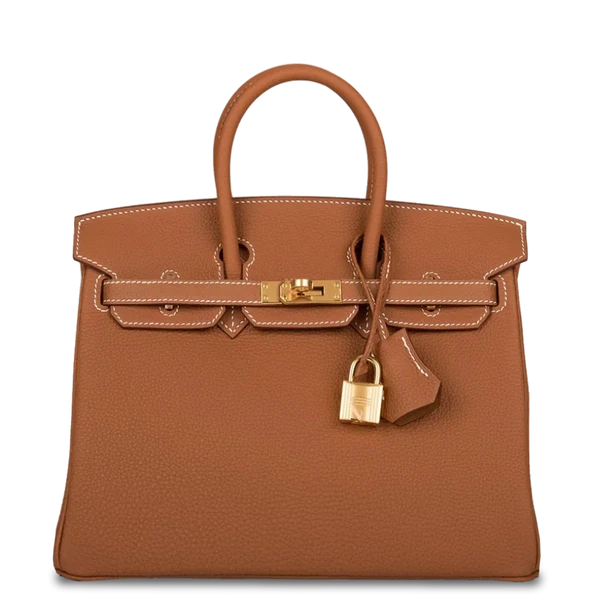 Hermès Birkin 25 Gold Togo Gold Hardware Stamp W 2024