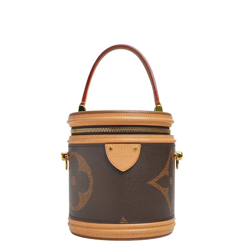 Louis Vuitton Monogram Giant Canvas Cannes Bag